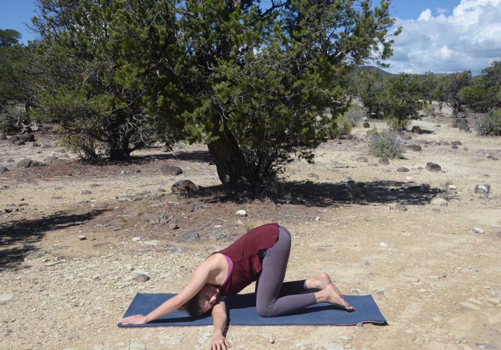 upper back stretches